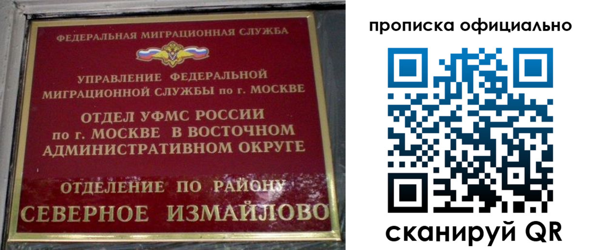 временная регистрация поиск в Завитинске